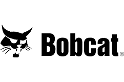 bobcat